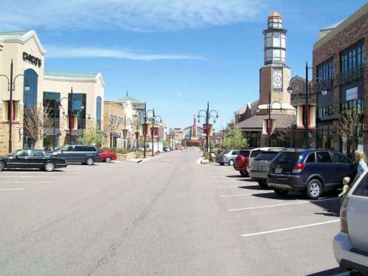 Picture of the skyline of Ann Arbor, Michigan where our contractors can help solve all of your water damage problems!